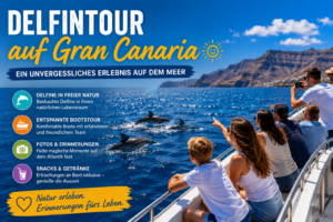 Delfintour Gran Canaria