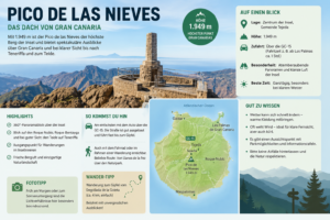 Pico de las Nieves